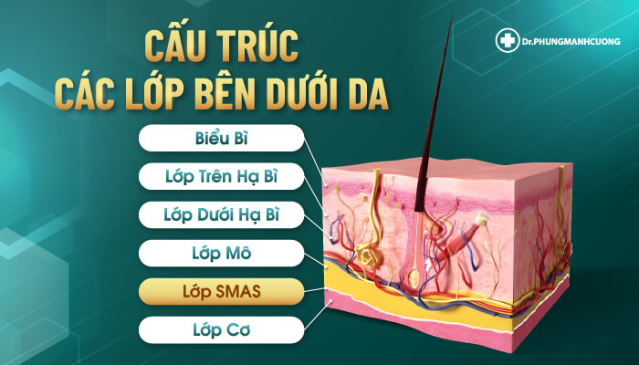 Cấu trúc lớp dưới lớp da