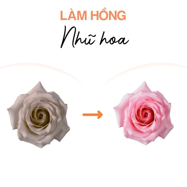 lam hong nhu hoa