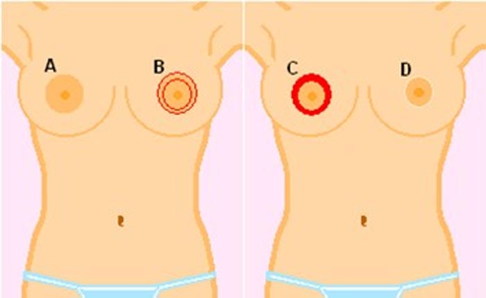 thu nho quang vu 3 1