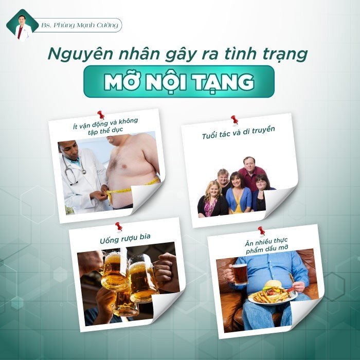 Nguyên nhân dẫn đến mỡ nội tạng có thể do chế độ ăn uống không lành mạnh, ít vận động
