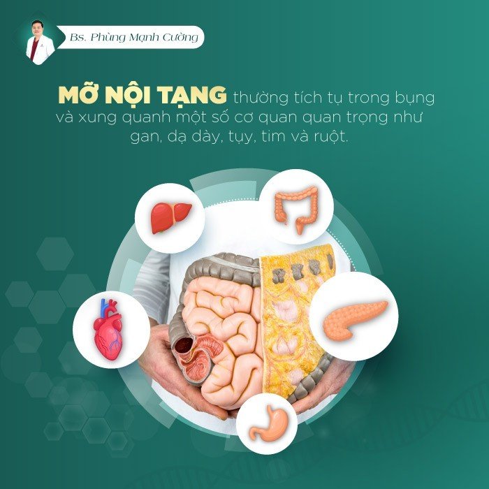 Mỡ nội tạng rất nguy hiểm, tìm ẩn nhiều bệnh đến tim mạch